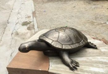 城市海龜?shù)袼?風(fēng)景區(qū)彩繪雕塑 抽象擺件