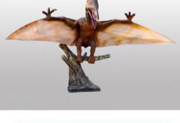 翼龍雕塑精品，標(biāo)識(shí)雕塑，發(fā)聲恐龍雕塑供給