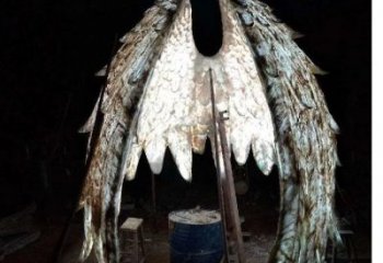 城市翅膀雕塑，網(wǎng)格燈光雕塑，古銅效果