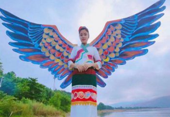 羽翼雕塑精品，白鋼構(gòu)件，不銹鋼羽翼雕塑供求