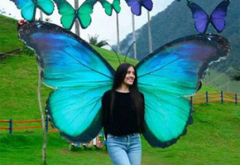 羽翼雕塑精品，白鋼構(gòu)件，別墅不銹鋼羽翼雕塑供求